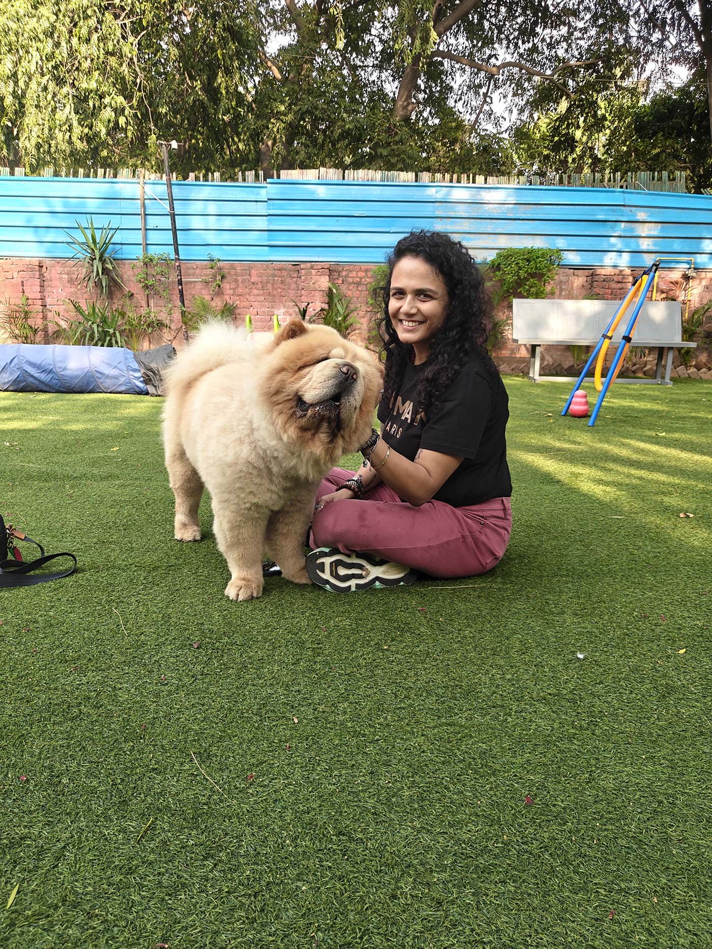 Pet care gallery image