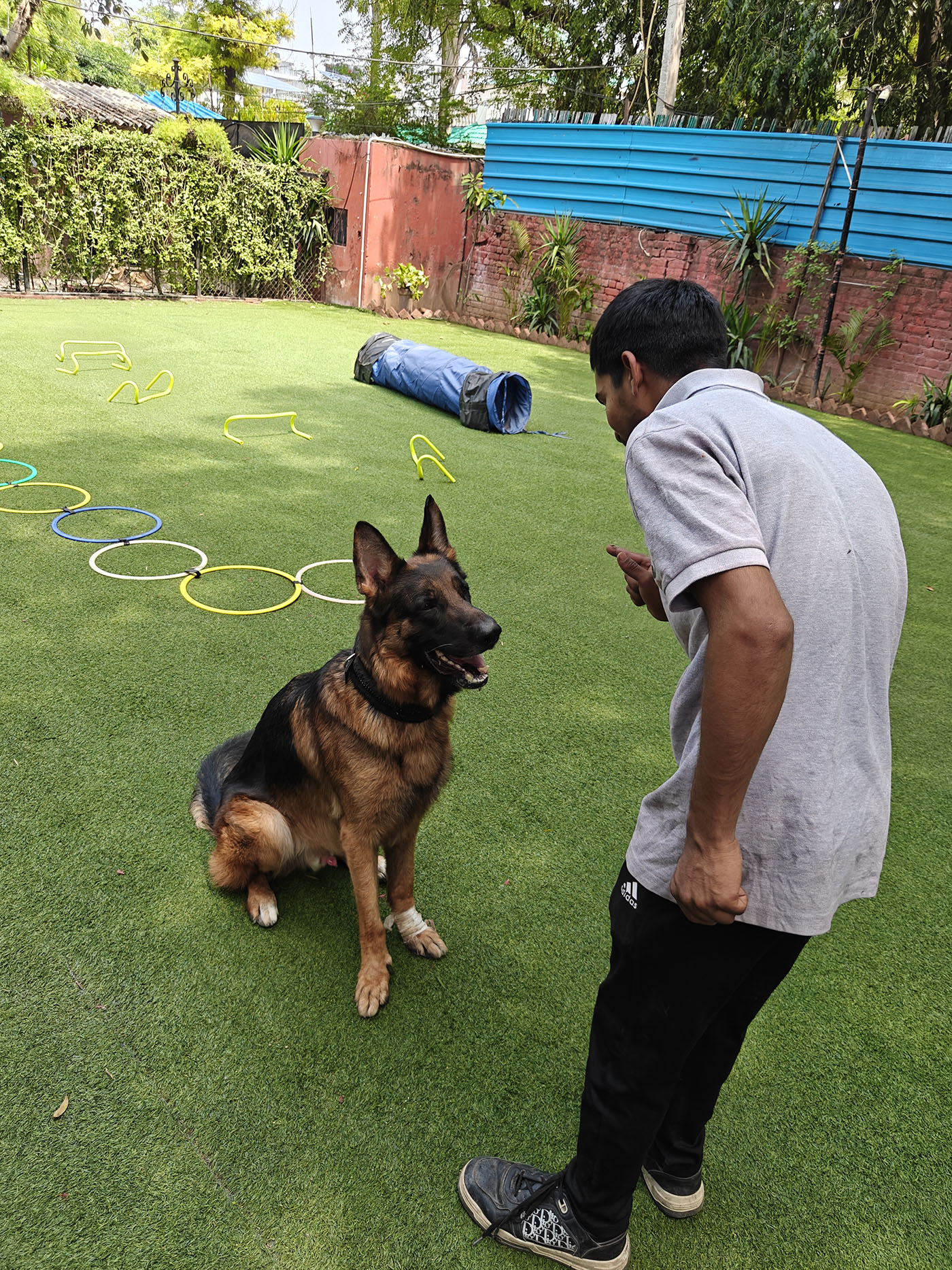 Pet care gallery image